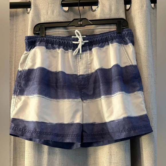American Eagle, AE 5.5" Striped Swim Trunk, Men’s Size M, Blue and White Stripe - Picture 2 of 6